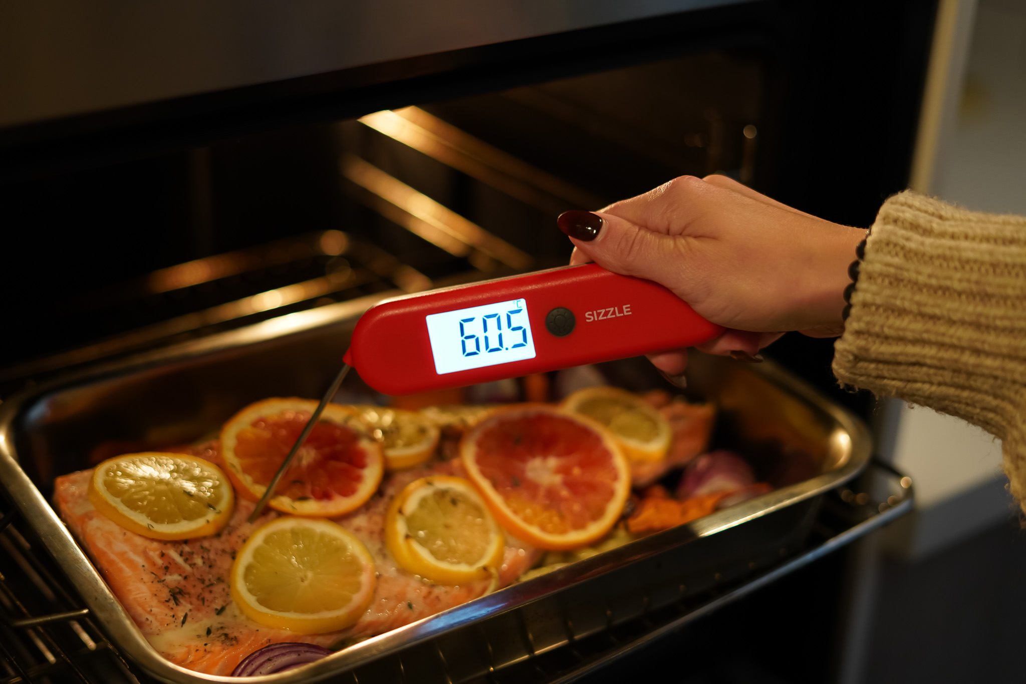 Sizzle SalmonTemperature Test_6a0e2bbeb70ed579220231.jpg